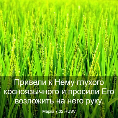 Picture 03 - Марка 7:32 RUSV - Привели к Нему глухого - Bible Verse Picture