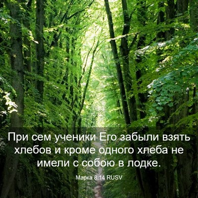 Picture 03 - Марка 8:14 RUSV - При сем ученики Его забыли - Bible Verse Picture