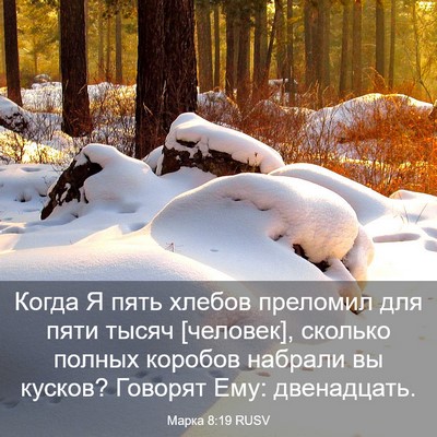 Picture 03 - Марка 8:19 RUSV - Когда Я пять хлебов - Bible Verse Picture