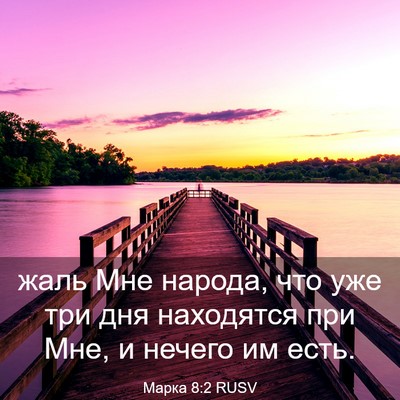 Picture 03 - Марка 8:2 RUSV - жаль Мне народа, что уже - Bible Verse Picture