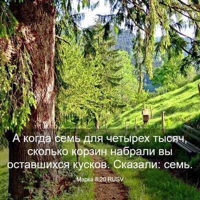 Picture 03 - Марка 8:20 RUSV - А когда семь для четырех - Bible Verse Picture