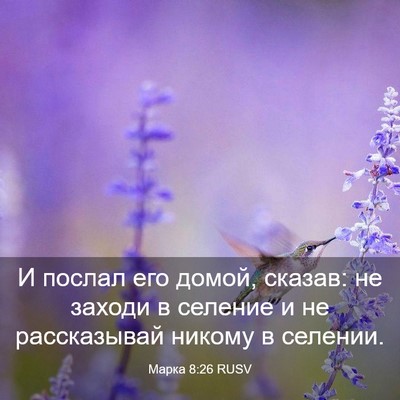 Picture 03 - Марка 8:26 RUSV - И послал его домой, сказав: - Bible Verse Picture