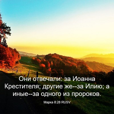 Picture 03 - Марка 8:28 RUSV - Они отвечали: за Иоанна - Bible Verse Picture