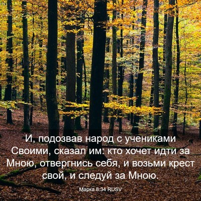 Picture 03 - Марка 8:34 RUSV - И, подозвав народ с - Bible Verse Picture