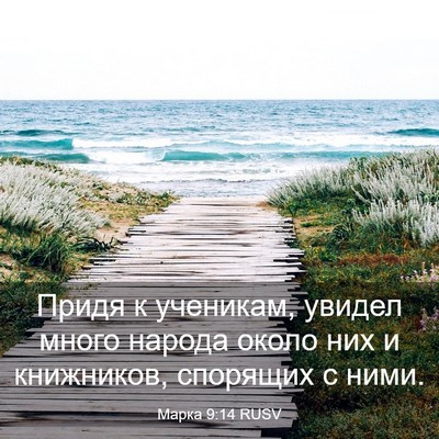 Picture 03 - Марка 9:14 RUSV - Придя к ученикам, увидел - Bible Verse Picture