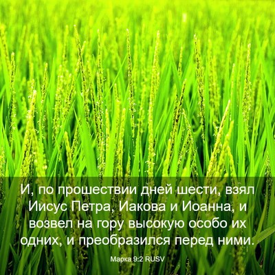 Picture 03 - Марка 9:2 RUSV - И, по прошествии дней - Bible Verse Picture