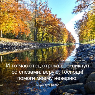 Picture 03 - Марка 9:24 RUSV - И тотчас отец отрока - Bible Verse Picture