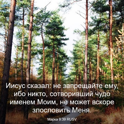 Picture 03 - Марка 9:39 RUSV - Иисус сказал: не - Bible Verse Picture