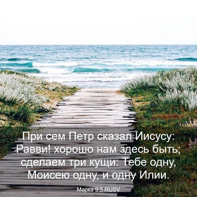 Picture 03 - Марка 9:5 RUSV - При сем Петр сказал Иисусу: - Bible Verse Picture
