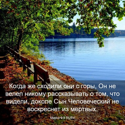 Picture 03 - Марка 9:9 RUSV - Когда же сходили они с - Bible Verse Picture