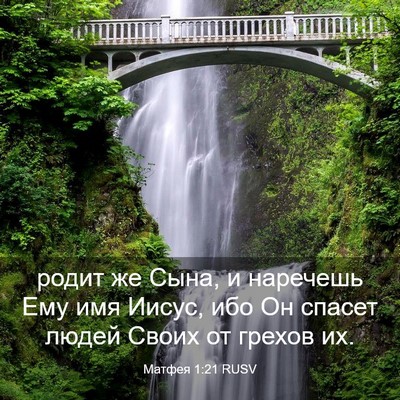 Picture 03 - Матфея 1:21 RUSV - родит же Сына, и наречешь - Bible Verse Picture