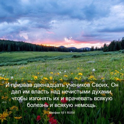 Picture 03 - Матфея 10:1 RUSV - И призвав двенадцать - Bible Verse Picture