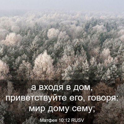 Picture 03 - Матфея 10:12 RUSV - а входя в дом, - Bible Verse Picture