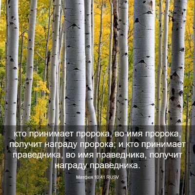 Picture 03 - Матфея 10:41 RUSV - кто принимает пророка, во - Bible Verse Picture