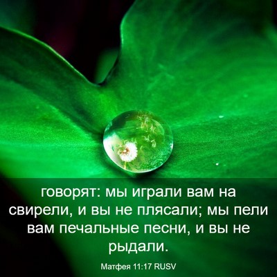 Picture 03 - Матфея 11:17 RUSV - говорят: мы играли вам на - Bible Verse Picture