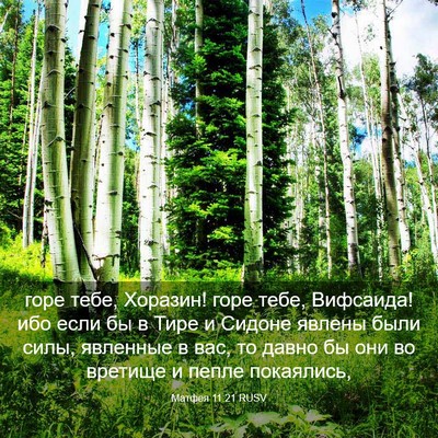 Picture 03 - Матфея 11:21 RUSV - горе тебе, Хоразин! горе - Bible Verse Picture