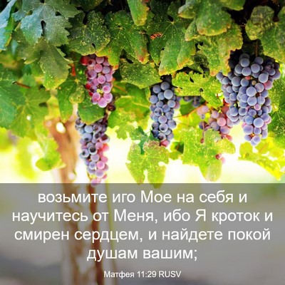 Picture 03 - Матфея 11:29 RUSV - возьмите иго Мое на себя и - Bible Verse Picture