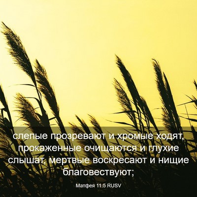 Picture 03 - Матфея 11:5 RUSV - слепые прозревают и хромые - Bible Verse Picture