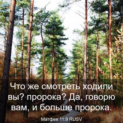 Picture 03 - Матфея 11:9 RUSV - Что же смотреть ходили вы? - Bible Verse Picture