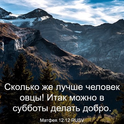 Picture 03 - Матфея 12:12 RUSV - Сколько же лучше человек - Bible Verse Picture