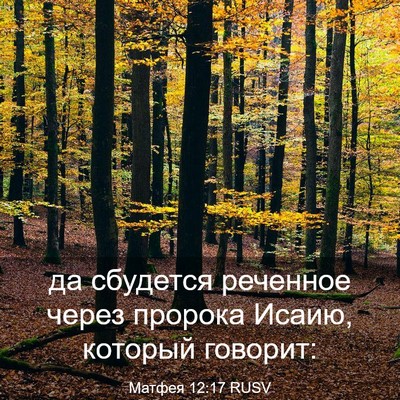 Picture 03 - Матфея 12:17 RUSV - да сбудется реченное через - Bible Verse Picture