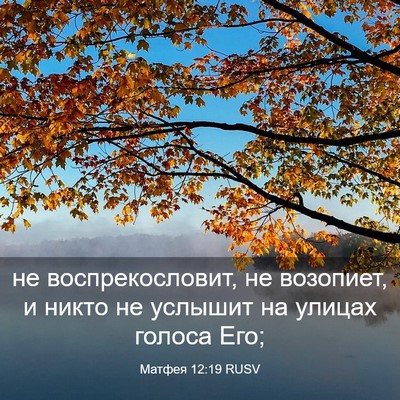 Picture 03 - Матфея 12:19 RUSV - не воспрекословит, не - Bible Verse Picture