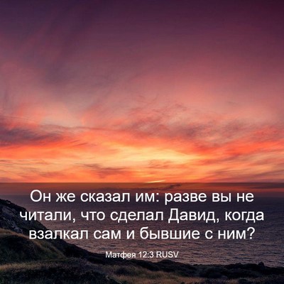 Picture 03 - Матфея 12:3 RUSV - Он же сказал им: разве вы не - Bible Verse Picture