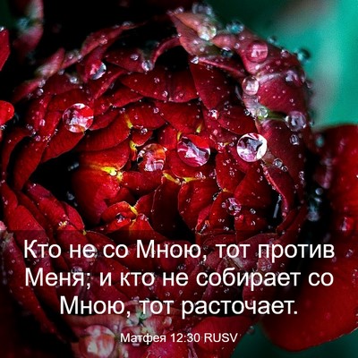 Picture 03 - Матфея 12:30 RUSV - Кто не со Мною, тот против - Bible Verse Picture