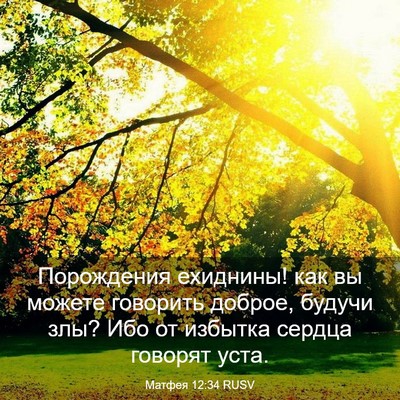 Picture 03 - Матфея 12:34 RUSV - Порождения ехиднины! как - Bible Verse Picture