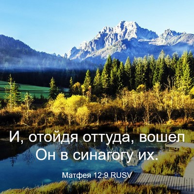 Picture 03 - Матфея 12:9 RUSV - И, отойдя оттуда, вошел Он в - Bible Verse Picture
