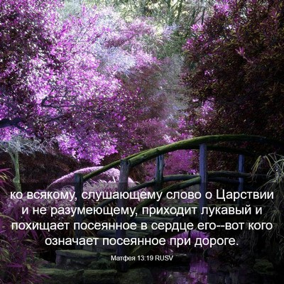 Picture 03 - Матфея 13:19 RUSV - ко всякому, слушающему - Bible Verse Picture