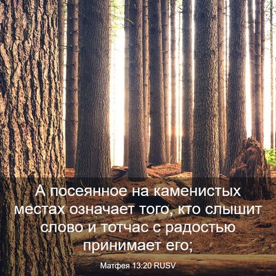 Picture 03 - Матфея 13:20 RUSV - А посеянное на каменистых - Bible Verse Picture