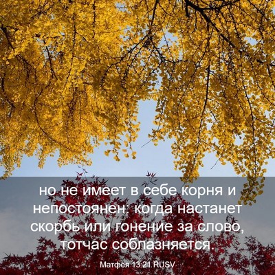 Picture 03 - Матфея 13:21 RUSV - но не имеет в себе корня и - Bible Verse Picture