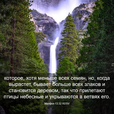 Picture 03 - Матфея 13:32 RUSV - которое, хотя меньше всех - Bible Verse Picture