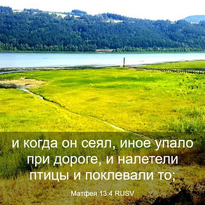 Picture 03 - Матфея 13:4 RUSV - и когда он сеял, иное упало - Bible Verse Picture