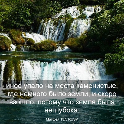 Picture 03 - Матфея 13:5 RUSV - иное упало на места - Bible Verse Picture