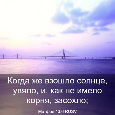 Picture 03 - Матфея 13:6 RUSV - Когда же взошло солнце, - Bible Verse Picture