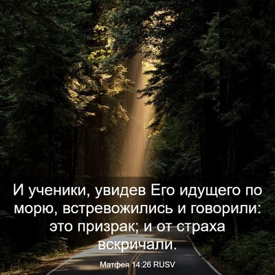Picture 03 - Матфея 14:26 RUSV - И ученики, увидев Его - Bible Verse Picture