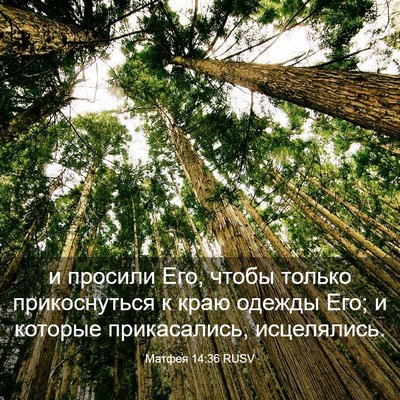 Picture 03 - Матфея 14:36 RUSV - и просили Его, чтобы только - Bible Verse Picture