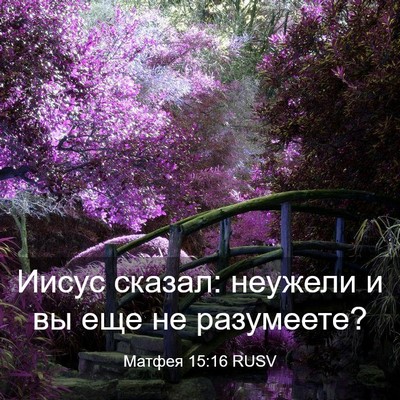 Picture 03 - Матфея 15:16 RUSV - Иисус сказал: неужели и вы - Bible Verse Picture