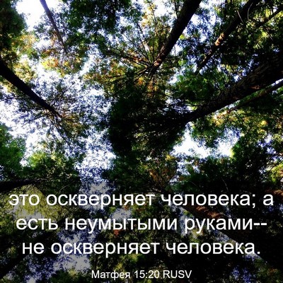 Picture 03 - Матфея 15:20 RUSV - это оскверняет человека; а - Bible Verse Picture