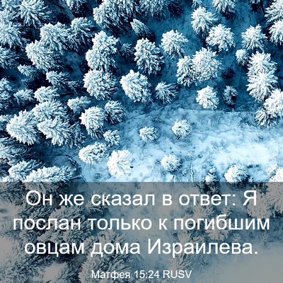 Picture 03 - Матфея 15:24 RUSV - Он же сказал в ответ: Я - Bible Verse Picture