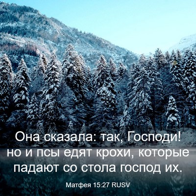 Picture 03 - Матфея 15:27 RUSV - Она сказала: так, Господи! - Bible Verse Picture