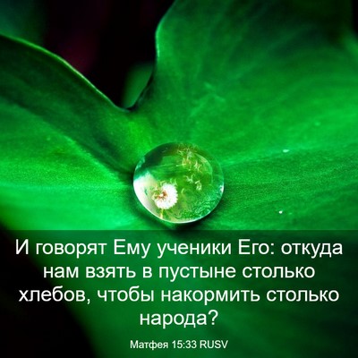 Picture 03 - Матфея 15:33 RUSV - И говорят Ему ученики Его: - Bible Verse Picture
