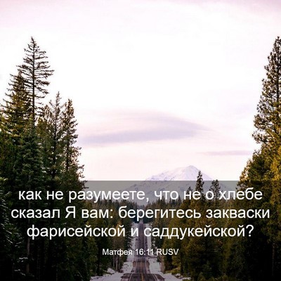 Picture 03 - Матфея 16:11 RUSV - как не разумеете, что не о - Bible Verse Picture