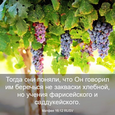 Picture 03 - Матфея 16:12 RUSV - Тогда они поняли, что Он - Bible Verse Picture