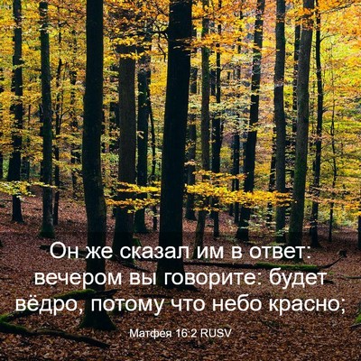 Picture 03 - Матфея 16:2 RUSV - Он же сказал им в ответ: - Bible Verse Picture