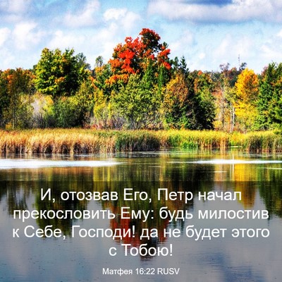 Picture 03 - Матфея 16:22 RUSV - И, отозвав Его, Петр начал - Bible Verse Picture