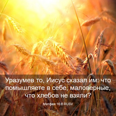 Picture 03 - Матфея 16:8 RUSV - Уразумев то, Иисус сказал - Bible Verse Picture