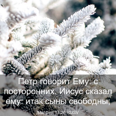 Picture 03 - Матфея 17:26 RUSV - Петр говорит Ему: с - Bible Verse Picture